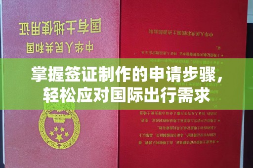 临清掌握签证制作的申请步骤，轻松应对国际出行需求