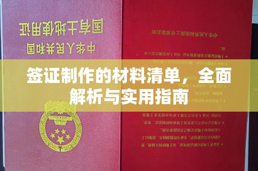 临清签证制作的材料清单，全面解析与实用指南