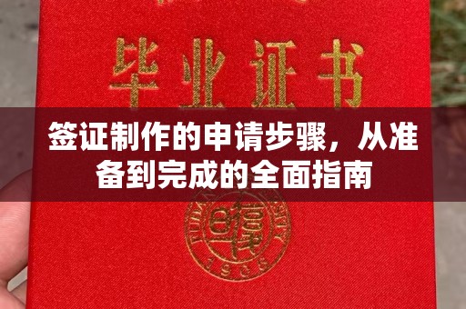 临清签证制作的申请步骤，从准备到完成的全面指南