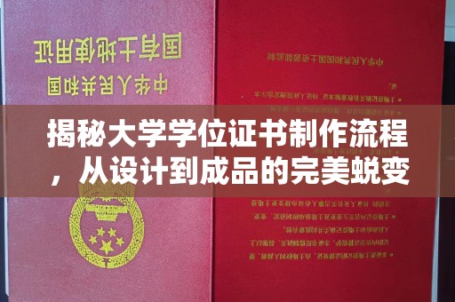 临清揭秘大学学位证书制作流程，从设计到成品的完美蜕变