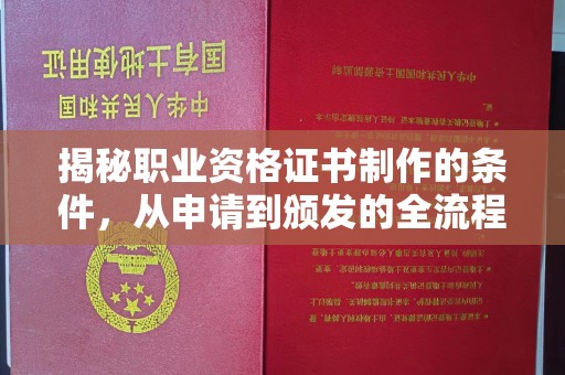 临清揭秘职业资格证书制作的条件，从申请到颁发的全流程解析