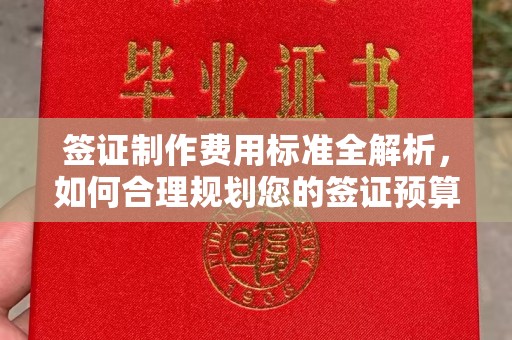 临清签证制作费用标准全解析，如何合理规划您的签证预算？